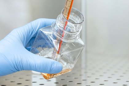 Hand in Handschuhen hält eine Zellkulturflasche, während eine serologische Pipette Flüssigkeit dosiert.