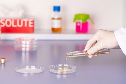 Eine behandschuhte Hand gießt flüssigen Agar aus einer kleinen Flasche in eine Petrischale im Labor
