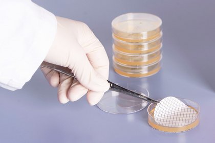 Biosolute Membranplatten – effiziente Membranfiltration für Wasseranalytik