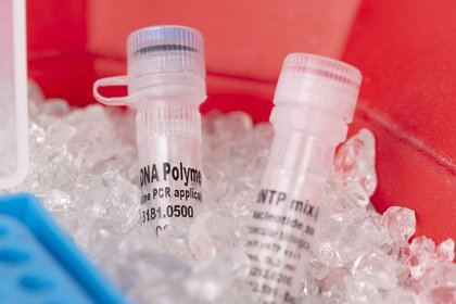 PCR-Reagenzien, darunter DNA-Polymerase und dNTP-Mix von BIOSOLUTE®, in einem Eisbad neben einem blauen Kühlrack.