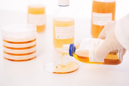 Biosolute Agarflaschen – gebrauchsfertige Agar-Lösungen für mikrobiologische Anwendungen und Zellkultur im Labor