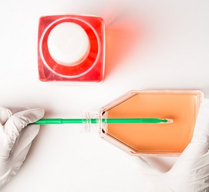 Produkte und Zubehör für die Zellkultur