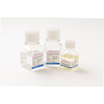 A click opens this product segment