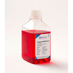 A click opens this product segment