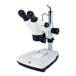 Ein Klick öffnet dieses Segment