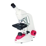 Ein Klick öffnet dieses Segment