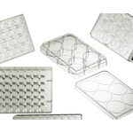 A click opens this product segment