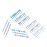 A click opens this product segment