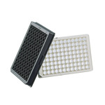 Apri questo segmento con un click