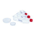 A click opens this product segment