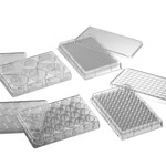 A click opens this product segment