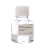 A click opens this product segment