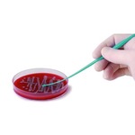 A click opens this product segment