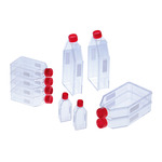 A click opens this product segment