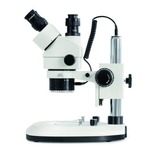 A click opens this product segment