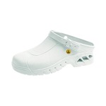 A click opens this product segment