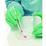 A click opens this product segment