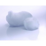 A click opens this product segment