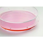 A click opens this product segment