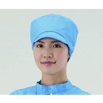 A click opens this product segment