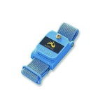 A click opens this product segment