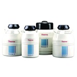 A click opens this product segment