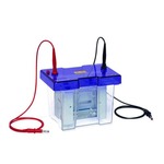 A click opens this product segment